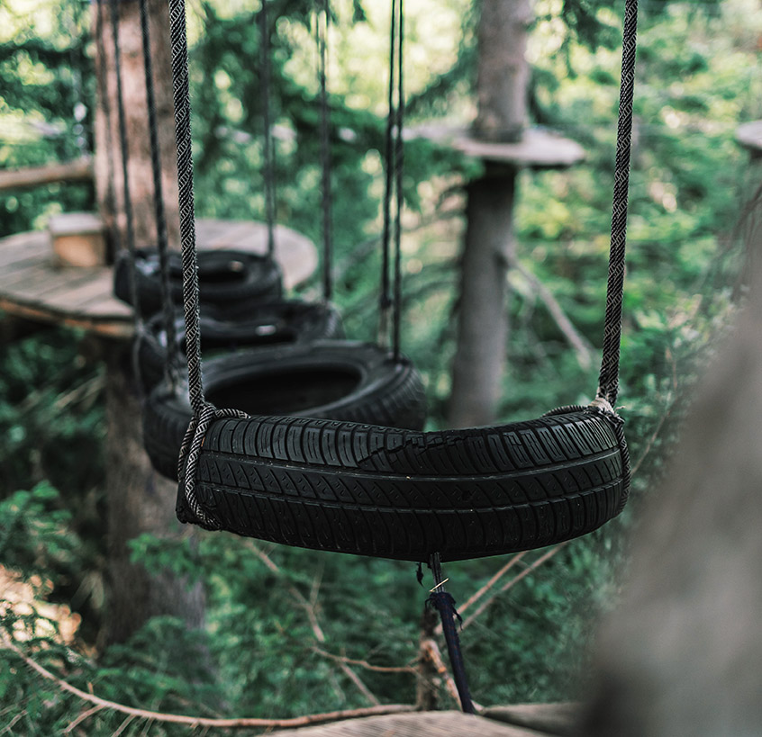 leadership_gold leadership_gold